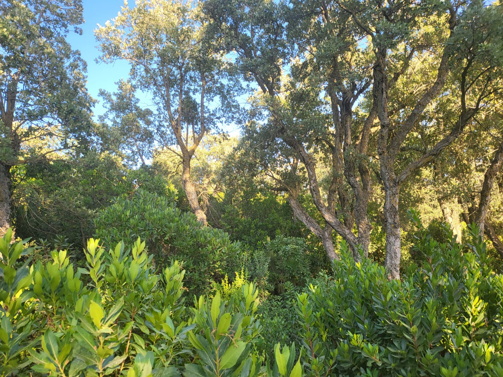 Natural Beauty and Climate